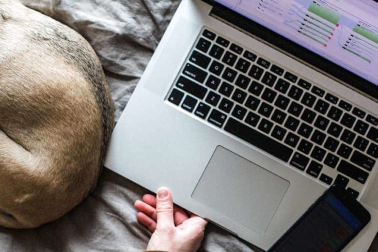 Working from home after successful Ballina computer repairs