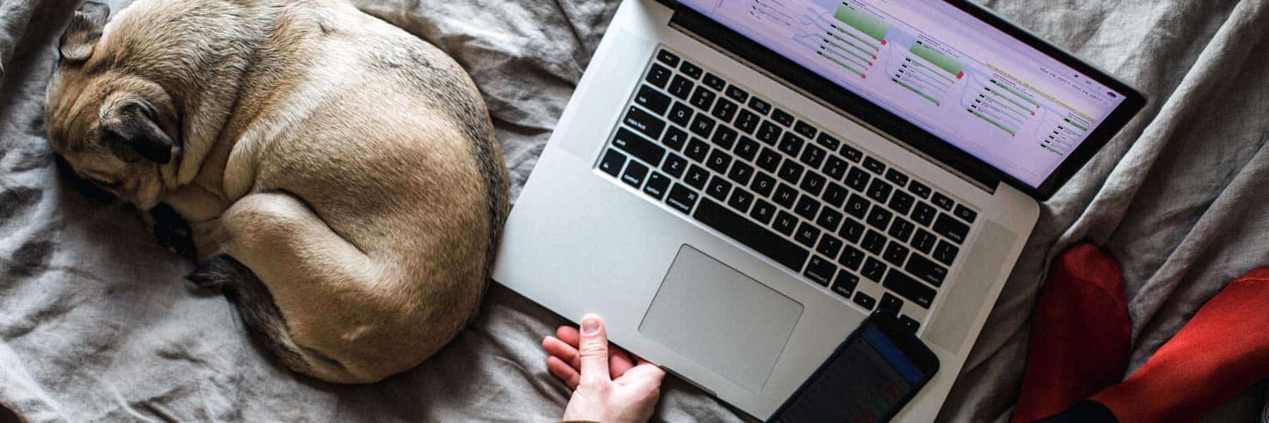 Working from home after successful Ballina computer repairs