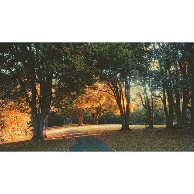 Northern Rivers NSW North Coast in Lismore by braydo93 - repost